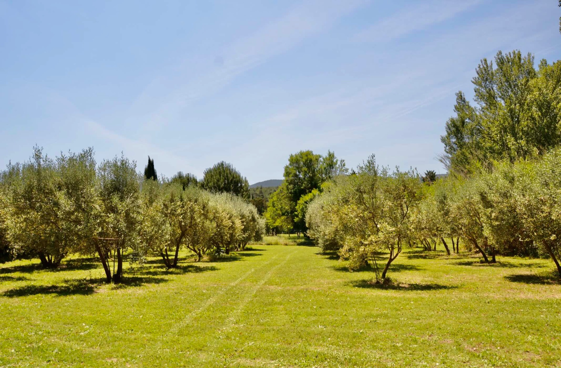 maison Les Oliviers 5 ***** Jardins vue Luberon